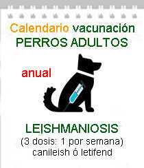 veterinario a domicilio vacunacion leishmaniosis