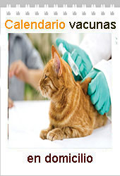 vacunacion gatos