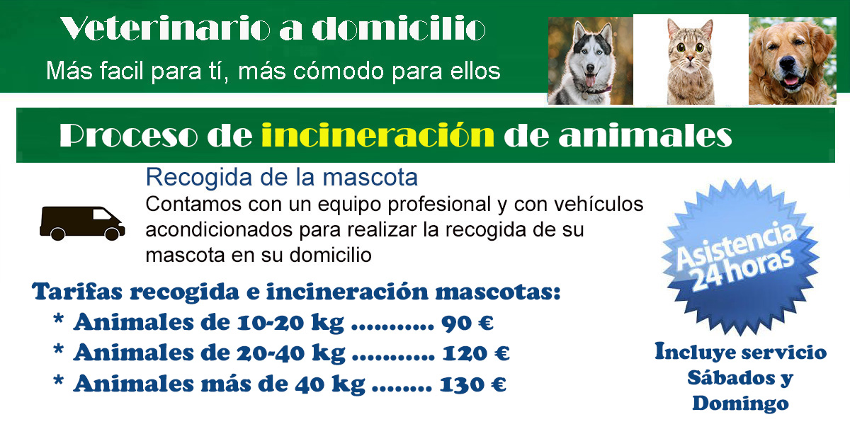 precios recogida e incineracion mascotas Madrid