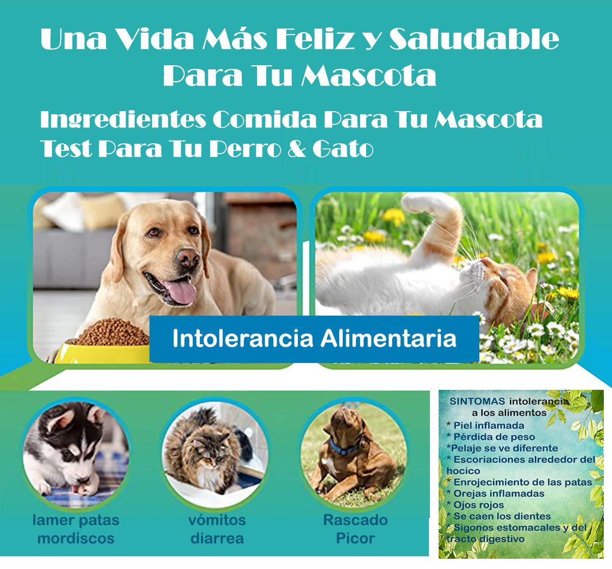 veterinario a domicilio intolerancia alimentaria perros y gatos