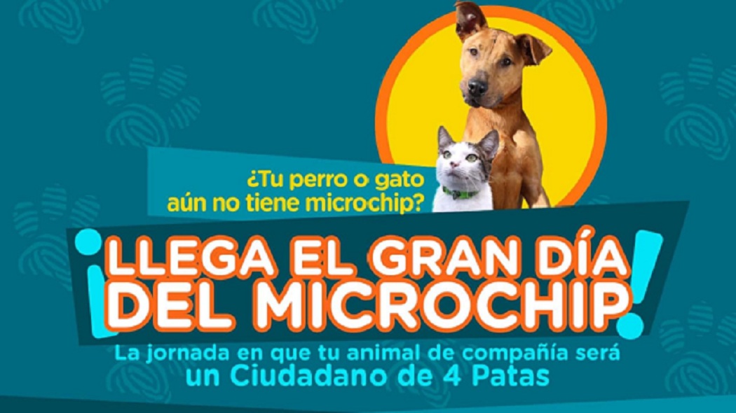 poner microchip veterinario a domicilio
