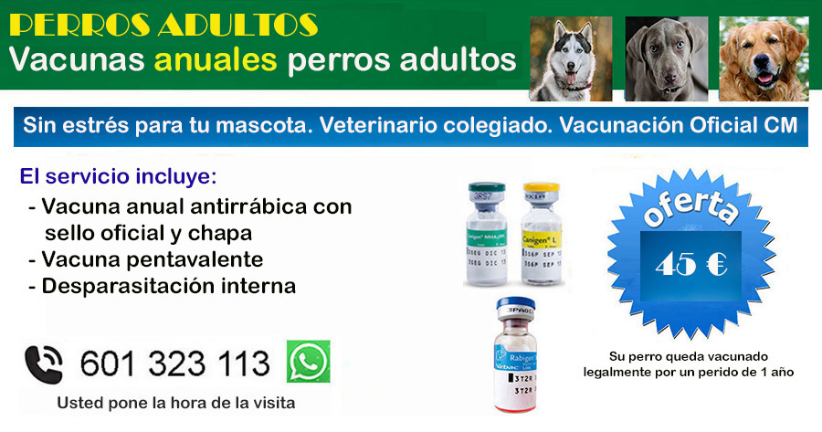 oferta vacunacion perro rabia y pentavalente