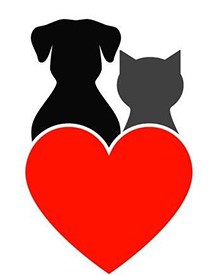 consulta veterinaria a domicilio mascotas patologia cardiaca