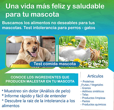intolerancia alimentaria perros consulta veterinaria