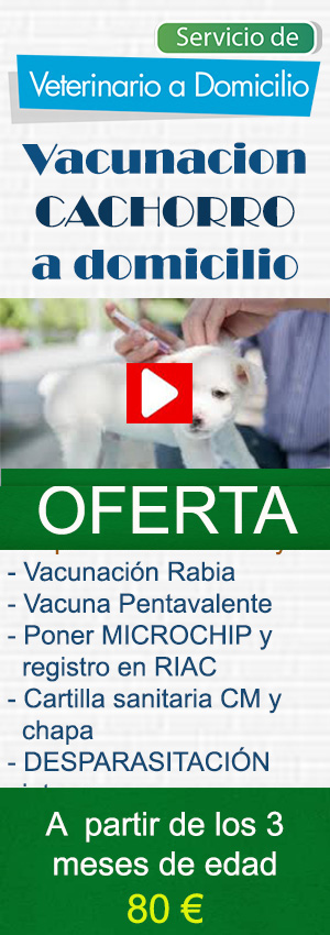 vacinacion y poner chio perros y cachorreos veterinario a domicilio